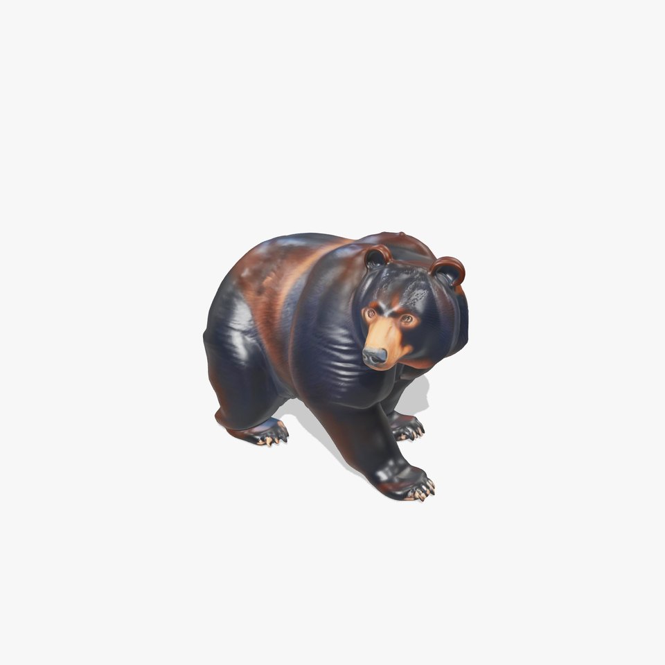 Realistic Black Bear model pack